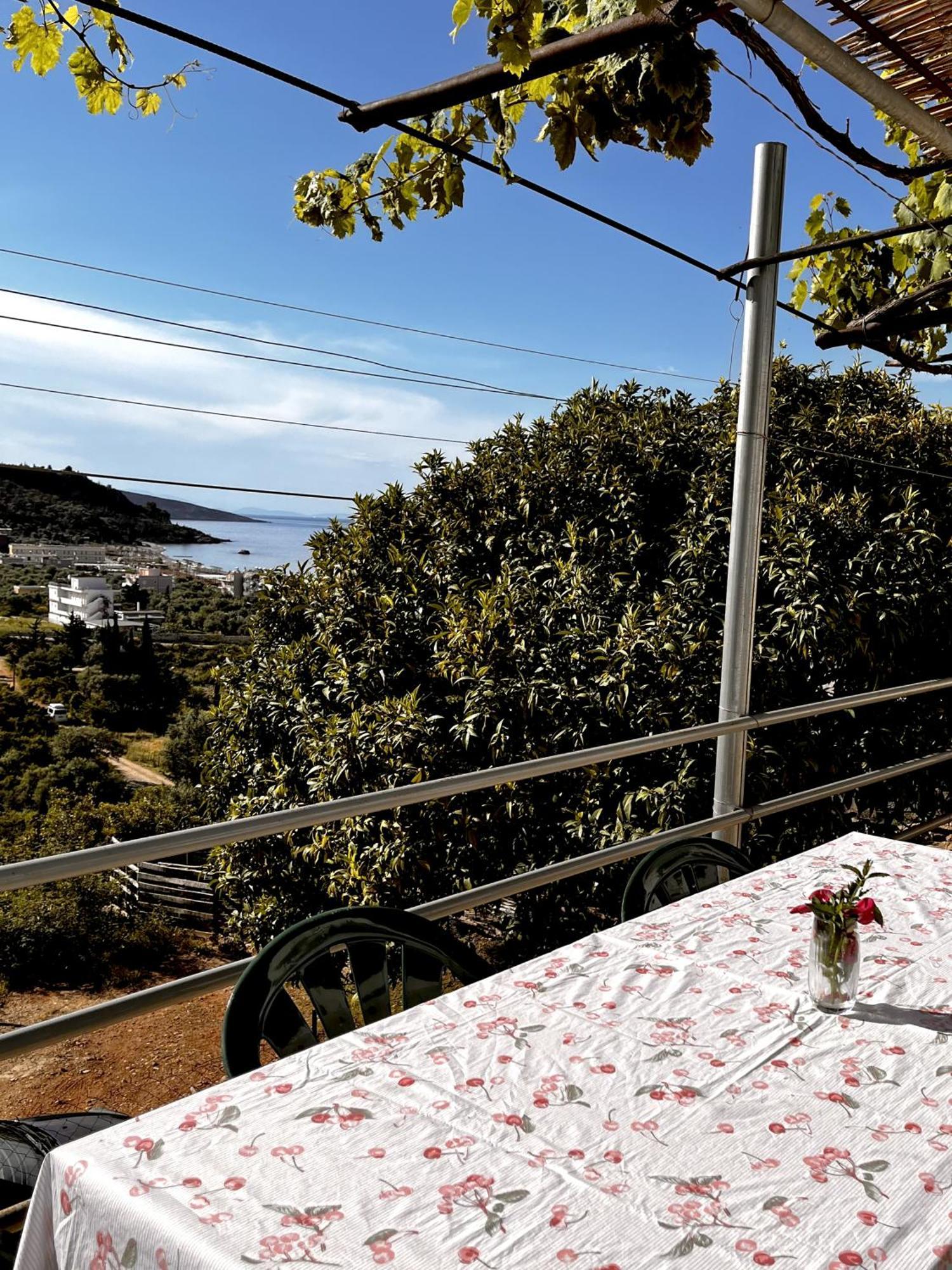 Готель Sea Horizon House Alexis Хімара Екстер'єр фото
