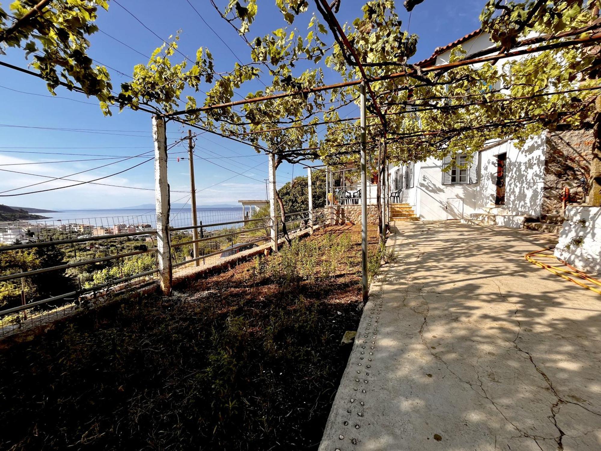 Готель Sea Horizon House Alexis Хімара Екстер'єр фото