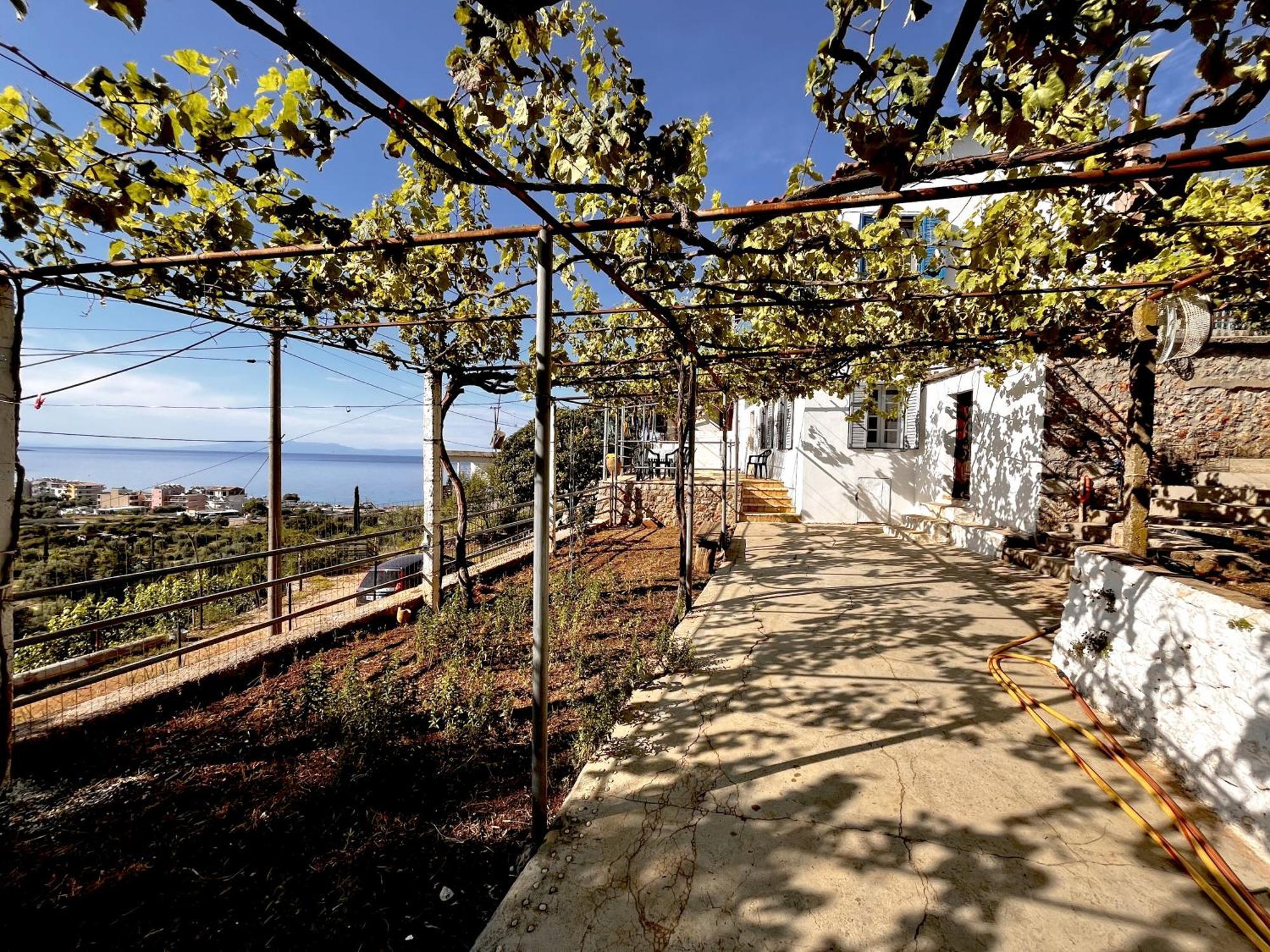 Готель Sea Horizon House Alexis Хімара Екстер'єр фото